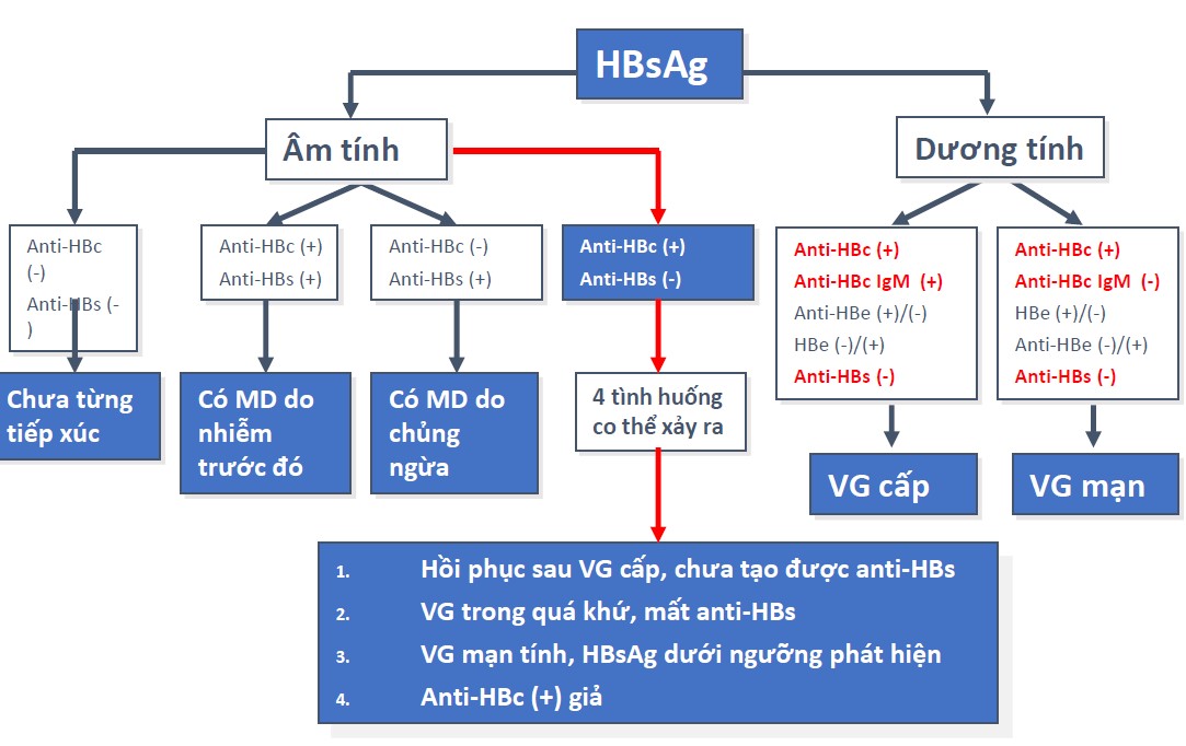 Kết quả xét nghiệm HBsAg dương tính trên phiếu kết quả.
