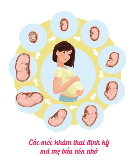 Bác sĩ đang tư vấn về tầm quan trọng của việc khám thai định kỳ cho mẹ bầu.