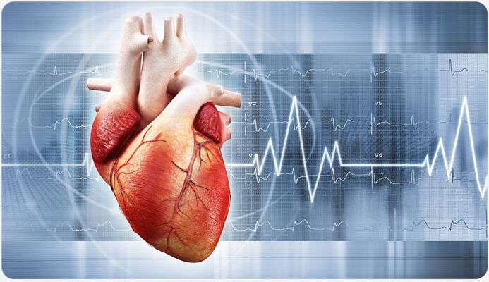 Giải đáp về mạch vành tim và xét nghiệm điện tâm đồ