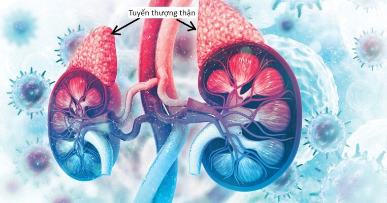 suy tuyến thượng thận