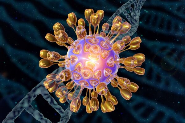 virus herpes