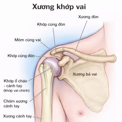 xương khớp