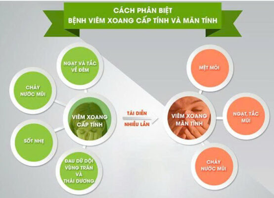 Viêm xoang cấp và viêm xoang mạn tính gây nghẹt mũi, đau đầu và chảy dịch mũi
