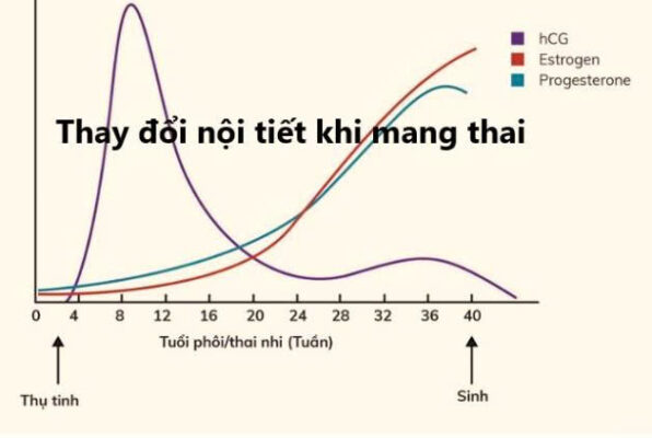 dấu hiệu mang thai 1 tuần 2 tuần và tháng đầu